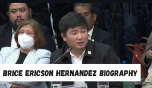 brice ericson hernandez biography